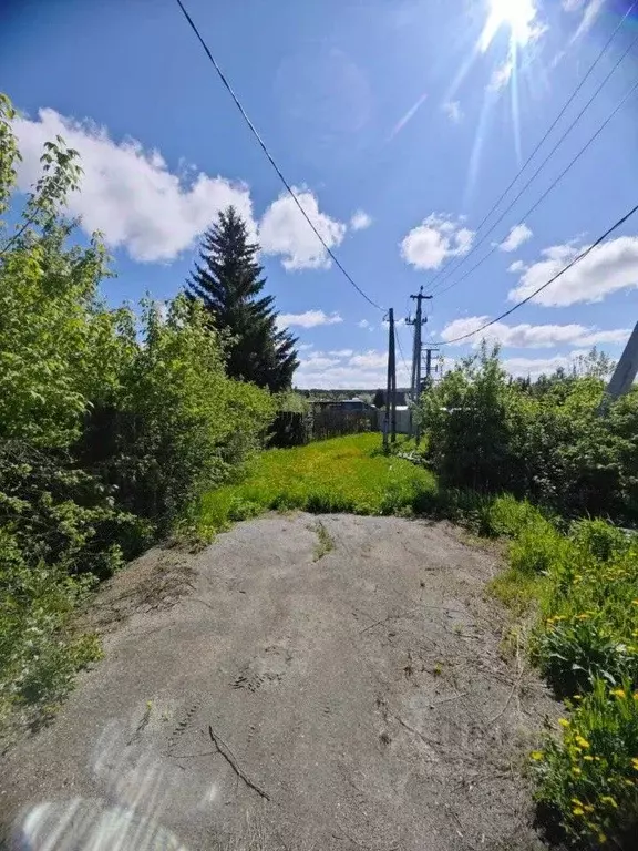 Участок в Свердловская область, Белоярский муниципальный округ, д. ... - Фото 1