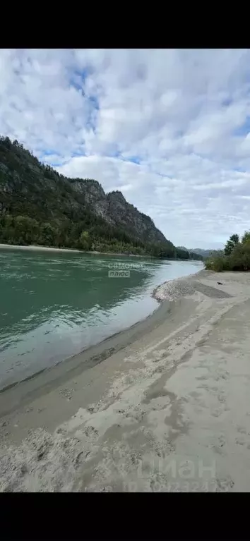 Участок в Алтай, Майминский район, с. Манжерок Ленинская ул. (11.84 ... - Фото 0