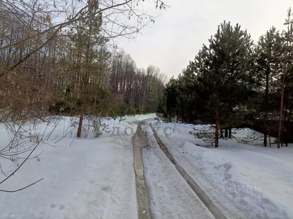 Участок в Московская область, Раменский городской округ, д. Хрипань ... - Фото 0