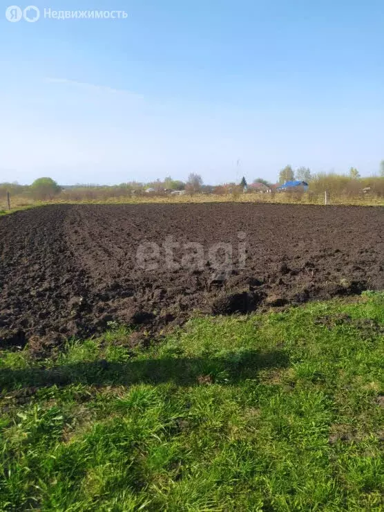 Участок в село Большая Приваловка, улица Комарова (10 м) - Фото 0