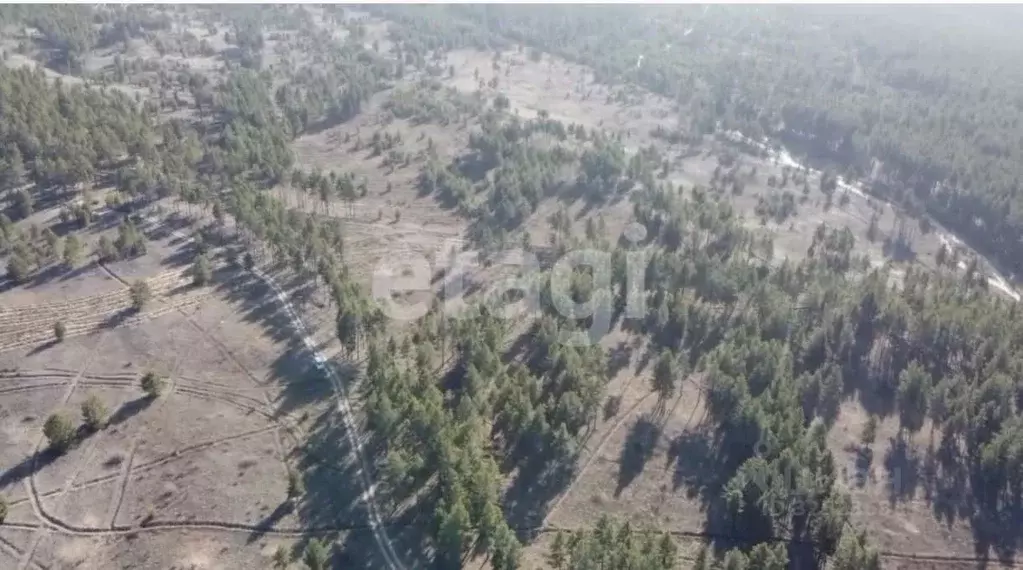 Участок в Бурятия, Тарбагатайский район, Саянтуйское с/пос, с. Нижний ... - Фото 2