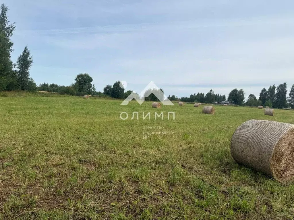 Участок в Вологодская область, д. Андрюшино  (50.0 сот.) - Фото 1