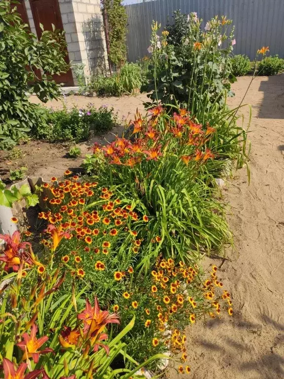 дом в волгоградская область, городищенский район, новорогачинское . - Фото 1