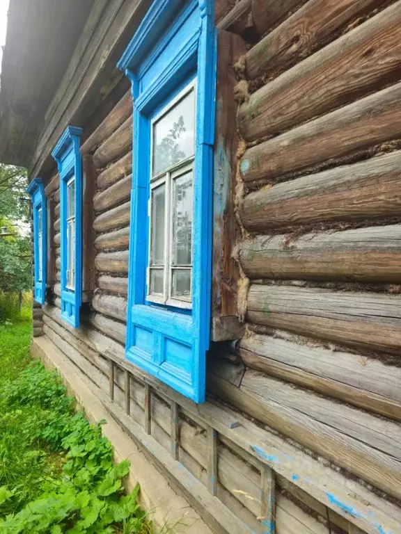 Дом в Нижегородская область, Ветлуга ул. Штурмина (61 м) - Фото 2