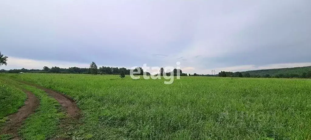 Участок в Кемеровская область, Кемеровский район, д. Журавлево, ... - Фото 0