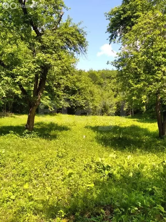 Участок в село Новопрохладное, Речная улица (21.23 м) - Фото 2