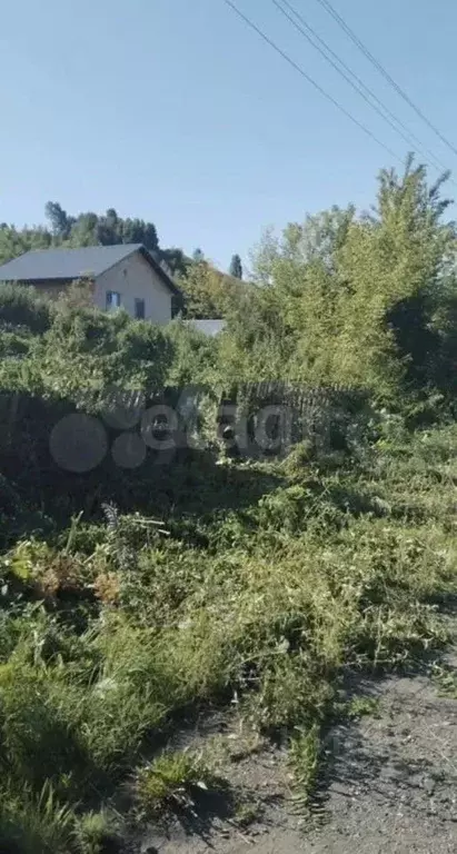 Участок в Алтайский край, Красногорский район, пос. Долина Свободы ул. ... - Фото 1