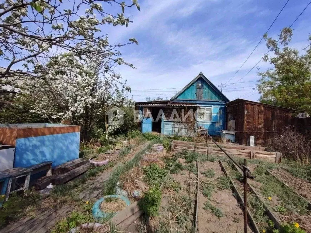 Дом в Бурятия, Улан-Удэ Профсоюзник СНТ, 346 (32 м) - Фото 1