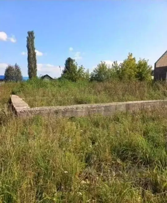 Участок в Башкортостан, Гафурийский район, Красноусольский сельсовет, ... - Фото 2