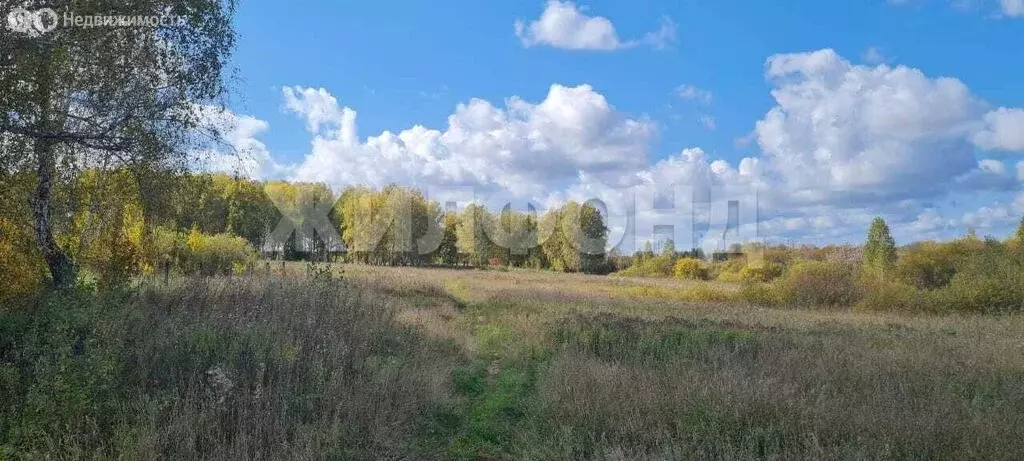 Участок в Болотное, Поселковая улица (6 м) - Фото 0