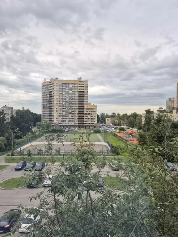 2-к кв. Санкт-Петербург пос. Шушары, Школьная ул., 24 (50.5 м) - Фото 2