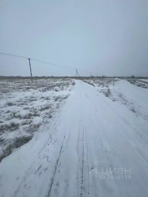 Участок в Саратовская область, пос. Рейник  (6.0 сот.) - Фото 1