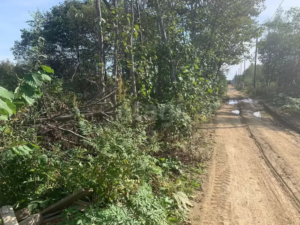 Участок в Сахалинская область, Южно-Сахалинск Здоровье СНТ,  (9.5 ... - Фото 1