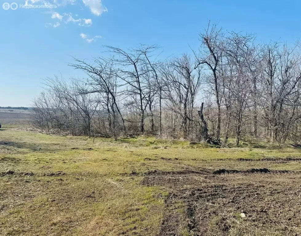 Участок в Симферопольский район, село Донское (395.86 м) - Фото 2