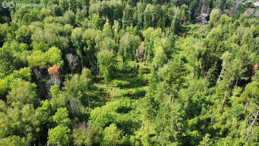 Участок в Томский район, Богашёвское сельское поселение, ДНП Некрасово ... - Фото 1