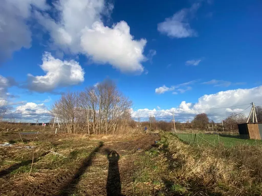 Участок в Калининградская область, Зеленоградский муниципальный округ, ... - Фото 1
