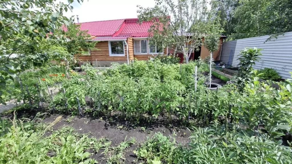 Дом в Челябинская область, Сосновский муниципальный округ, Дубровский ... - Фото 2