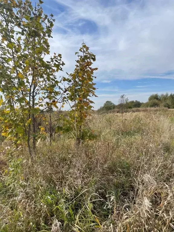 Участок в Московская область, Воскресенск городской округ, с. Карпово  ... - Фото 0