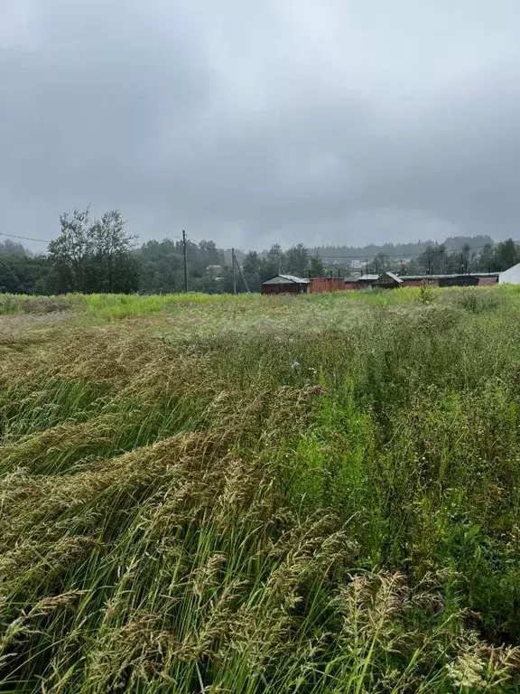 Участок в Московская область, Клин городской округ, д. Решоткино  ... - Фото 1