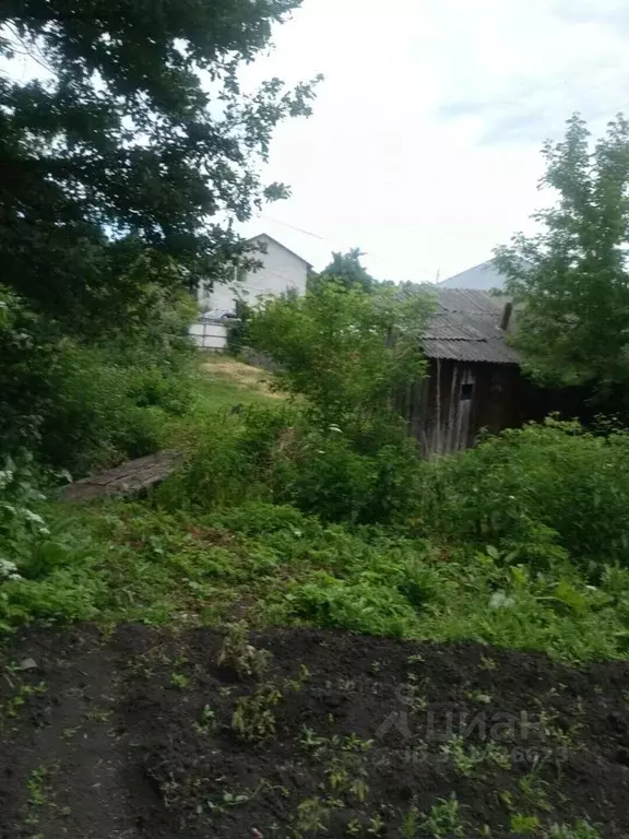 Дом в Алтай, Горно-Алтайск ул. Чкалова (60 м) - Фото 2