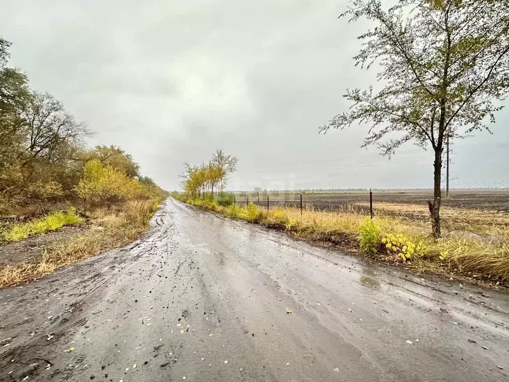 Участок в Воронежская область, с. Новая Усмань, Новая Радуга мкр  (5.0 ... - Фото 0