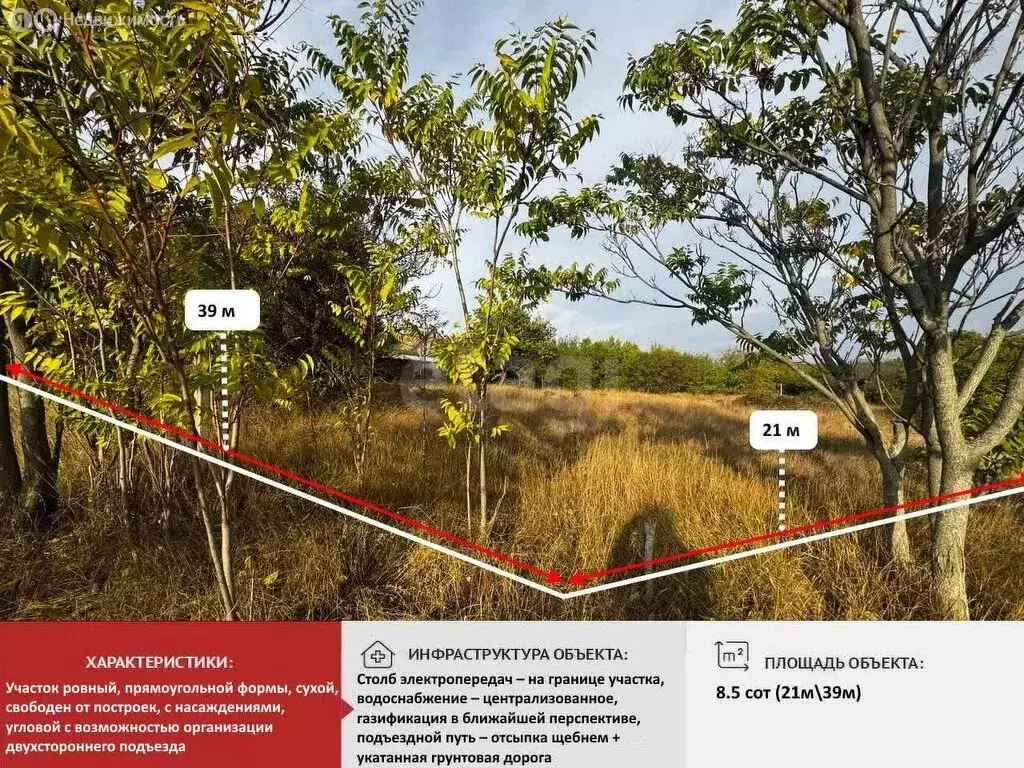 Участок в Трудовое, СПК Родничок, Ежевичная улица (8.5 м) - Фото 2