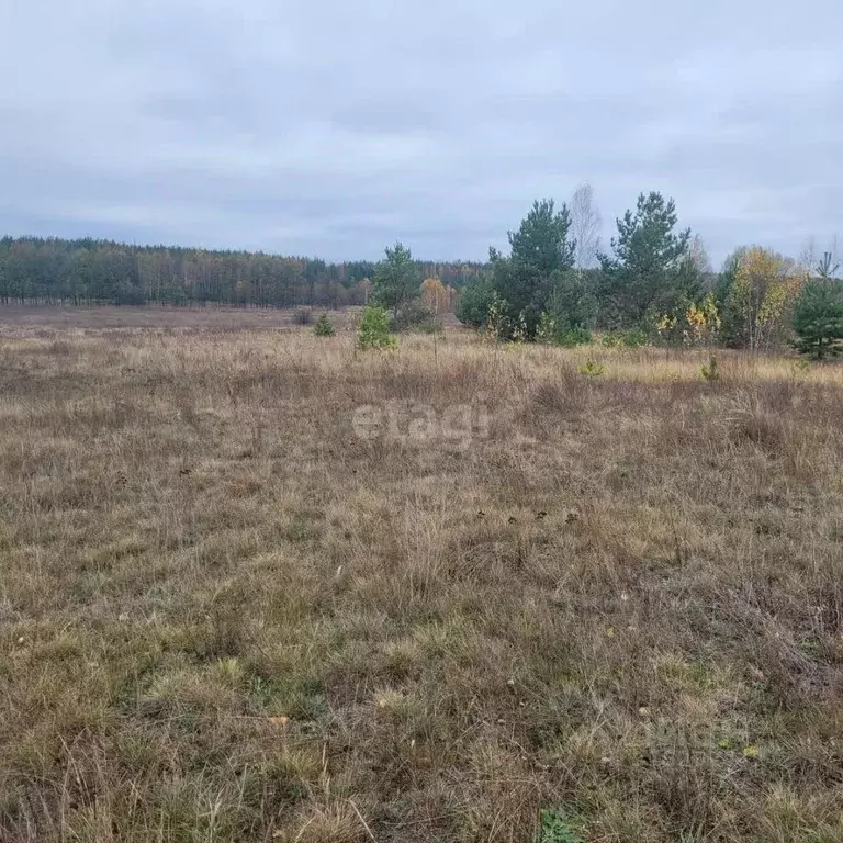Участок в Владимирская область, Муром д. Коржавино,  (10.38 сот.) - Фото 0