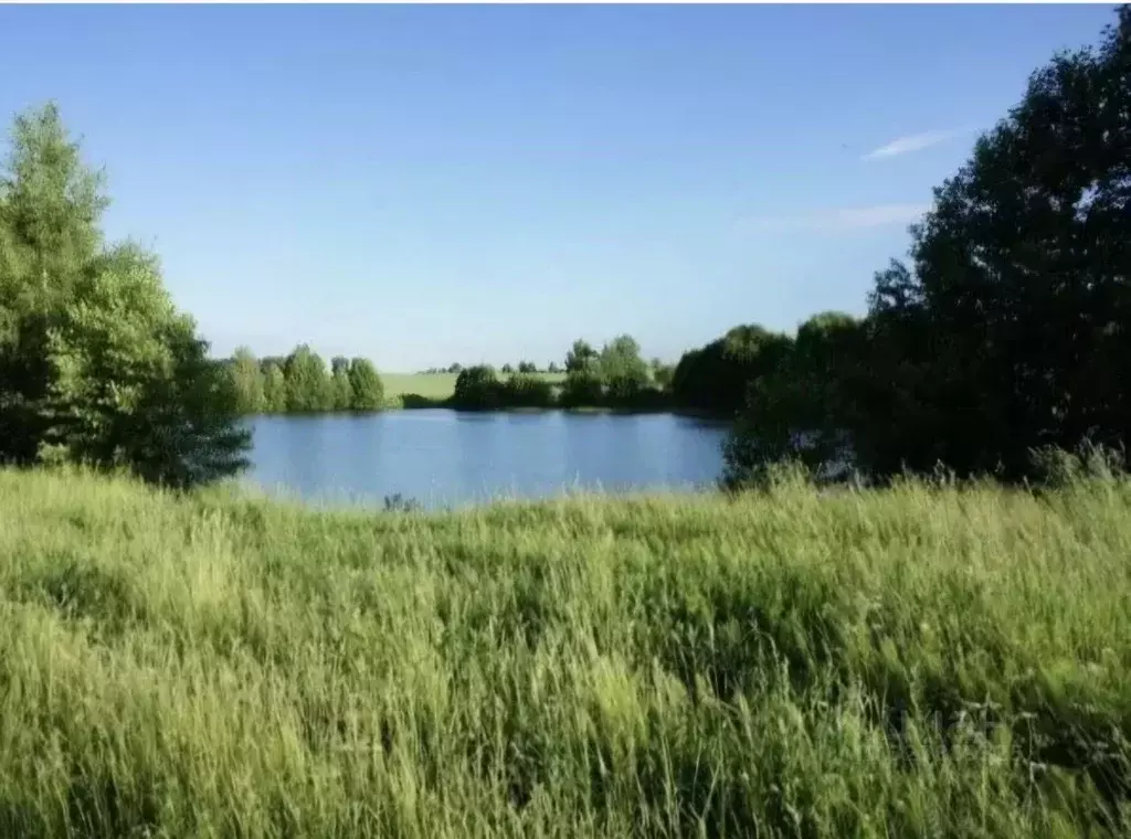 Участок в Московская область, Коломна городской округ, д. Шапкино  ... - Фото 2