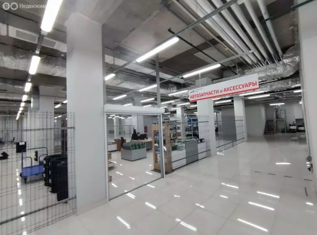 Помещение свободного назначения (300 м) - Фото 2