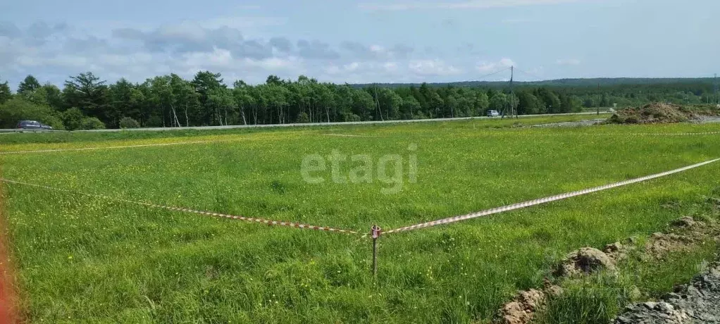 Участок в Сахалинская область, Анивский городской округ, с. Мицулевка  ... - Фото 0