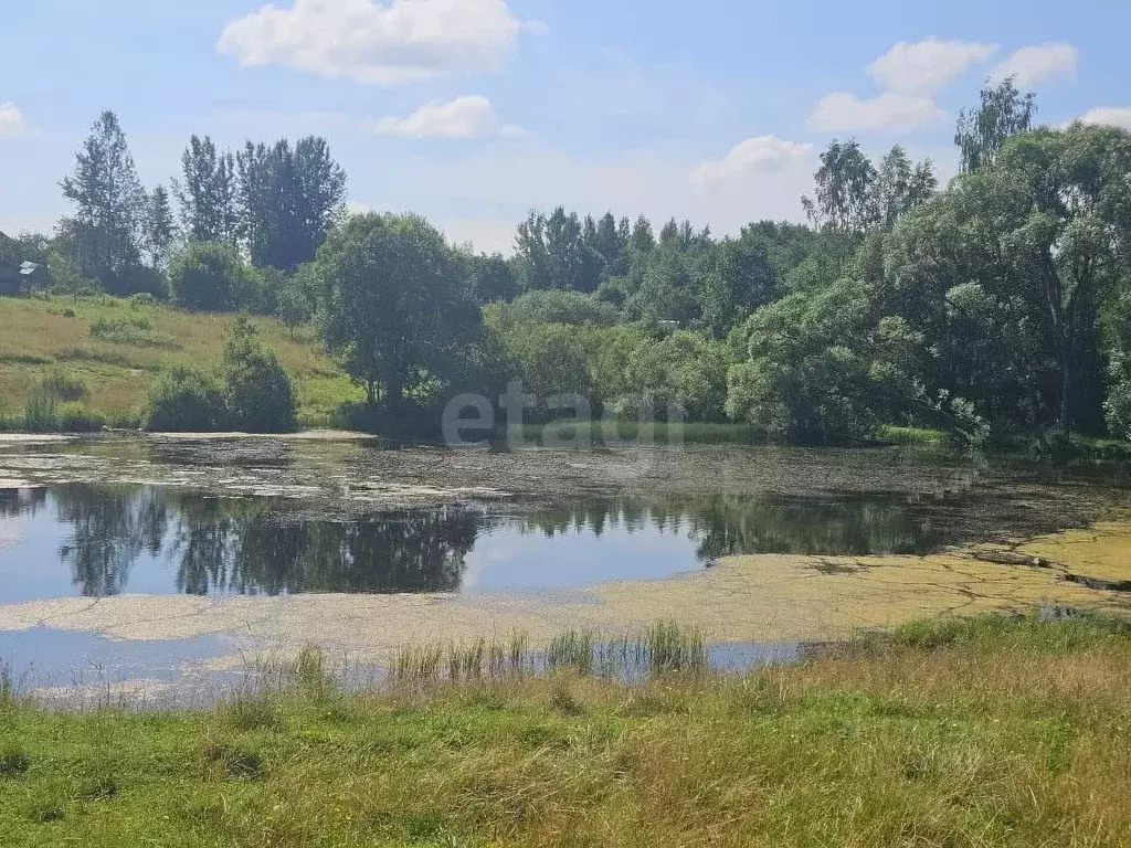 Участок в Псковская область, Струги Красные рп  (15.0 сот.) - Фото 1