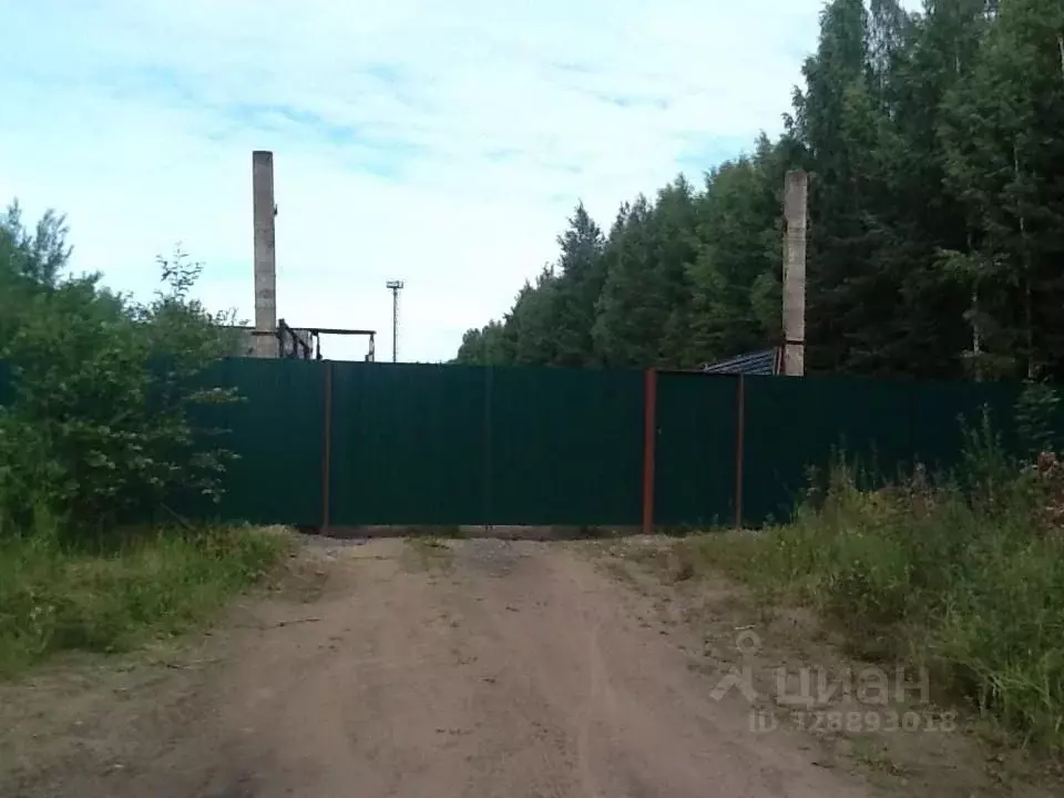Производственное помещение в Ленинградская область, Ломоносовский ... - Фото 1