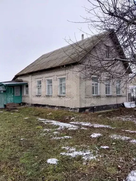 Дом в Липецкая область, с. Доброе пер. Набережный, 16 (50 м) - Фото 2