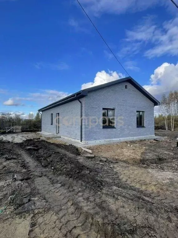 Участок в Тюменская область, Тюмень Царево садовое товарищество, ул. ... - Фото 0