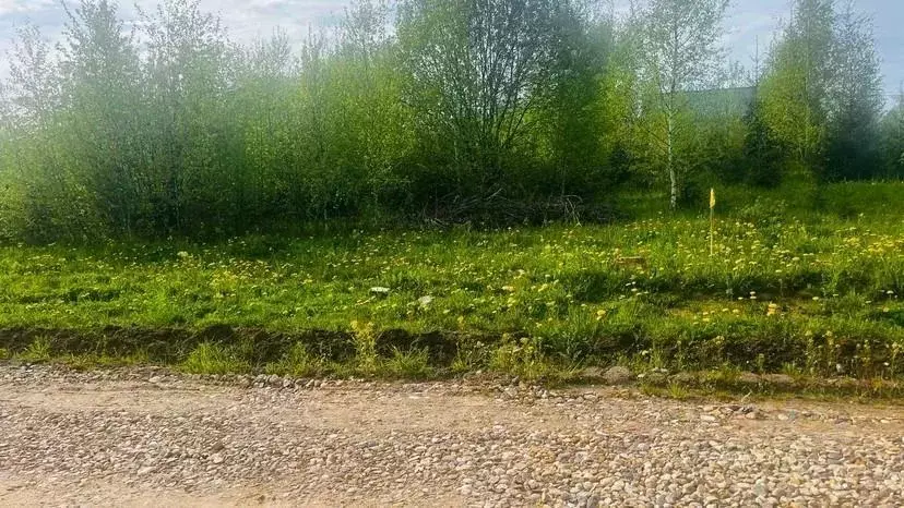 Участок, 10 сот., поселения (ижс) - Фото 1