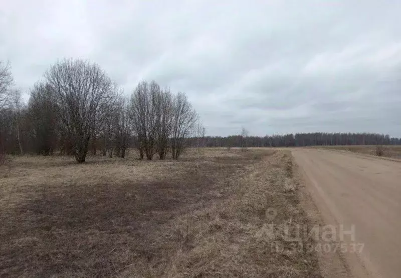 Участок в Московская область, Дмитровский муниципальный округ, д. ... - Фото 0