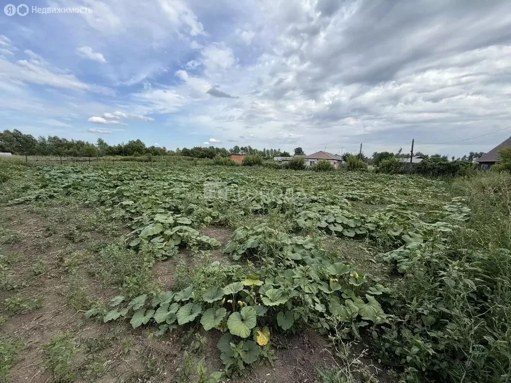 Участок в село Повалиха, 1-я Набережная улица, 11 (10 м) - Фото 1
