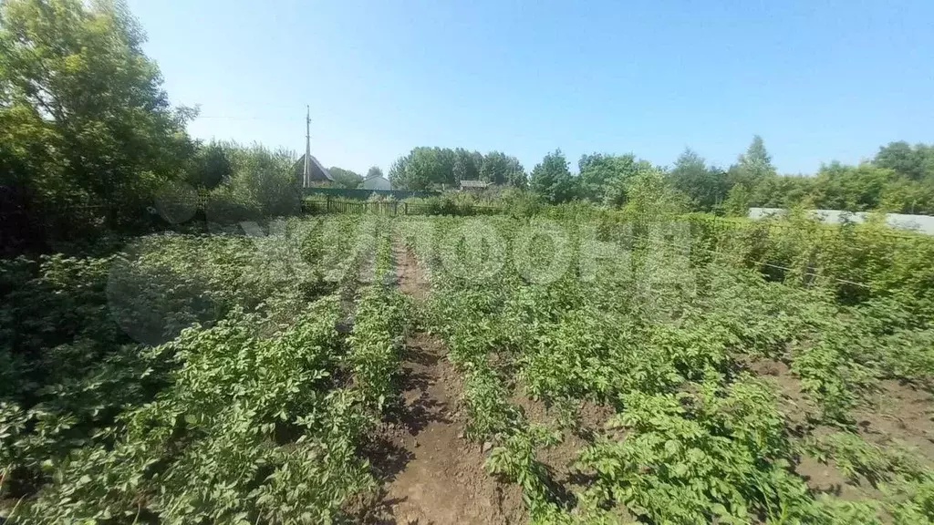 Участок 5,5 сот. (СНТ, ДНП) - Фото 0