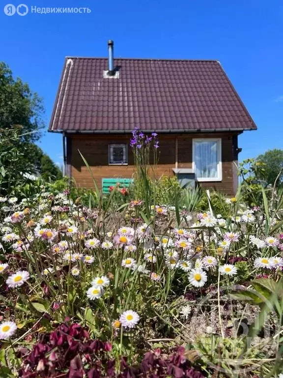 Дом в Заклинское сельское поселение, деревня Колодно (42 м) - Фото 1