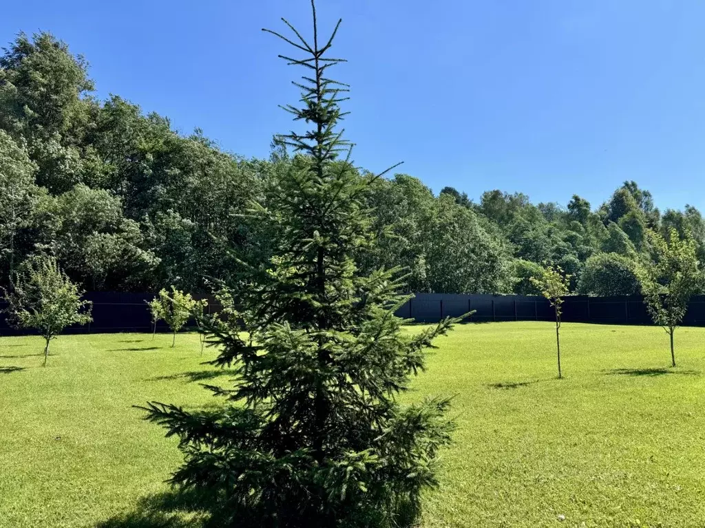 Участок в Московская область, Истра муниципальный округ, д. Падиково ... - Фото 1