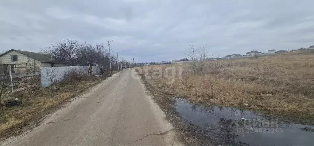 Участок в Белгородская область, Белгородский район, Разумное рп ул. ... - Фото 1