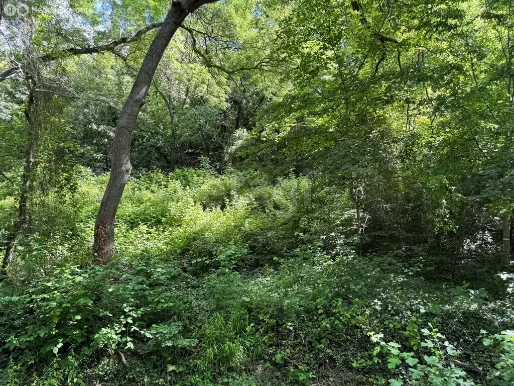 Участок в село Мысхако, Центральная улица (4.97 м) - Фото 1
