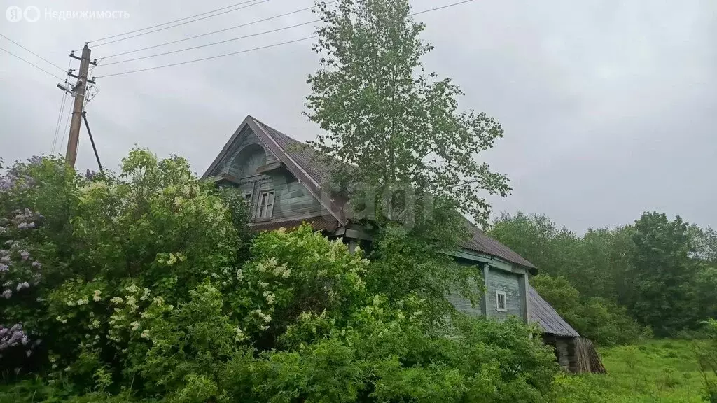 Дом в Кисельнинское сельское поселение, деревня Лужа (50 м) - Фото 2