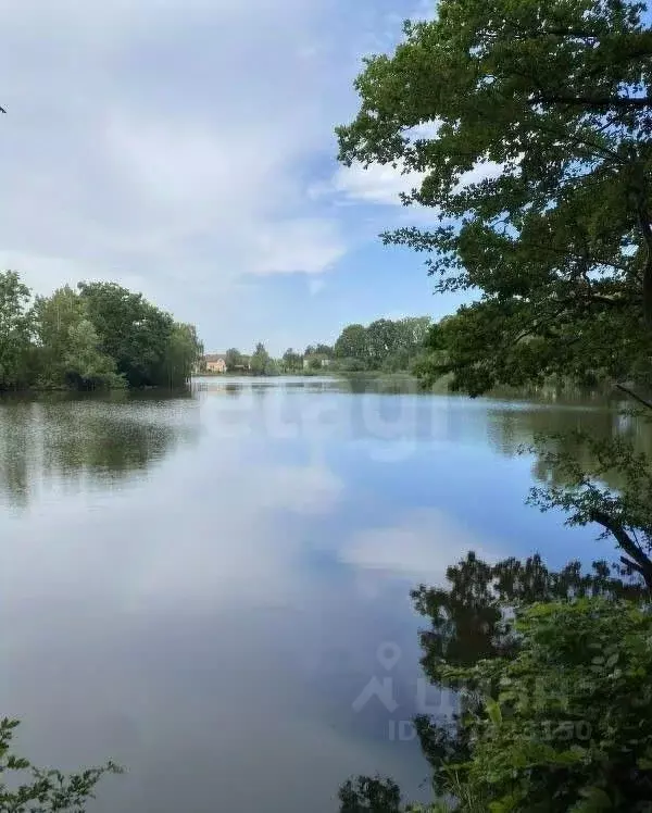 Участок в Калининградская область, Калининград Радуга СНТ, ул. 3-я ... - Фото 1