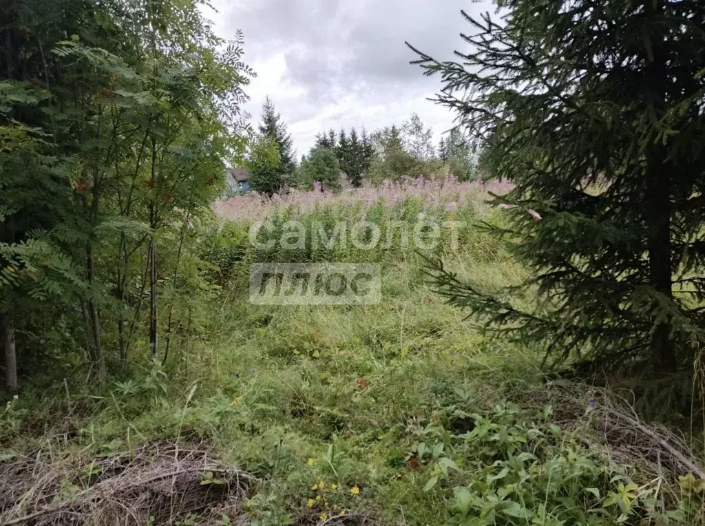 Участок в Карелия, Сортавальский муниципальный округ, Вяртсиля пгт ул. ... - Фото 2