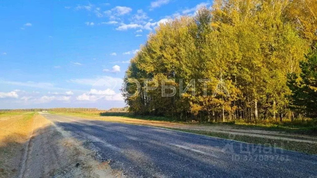 Участок в Тюменская область, Тюменский муниципальный округ, с. Кулига  ... - Фото 2
