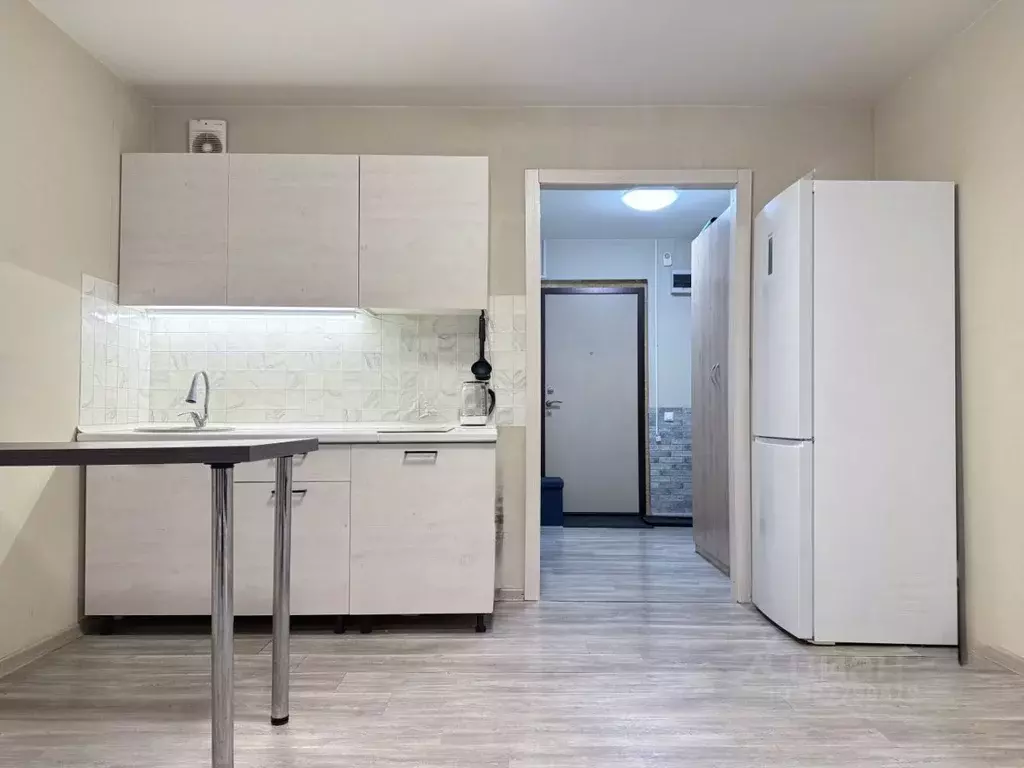 Студия Ленинградская область, Ломоносовский район, Виллозское ... - Фото 2