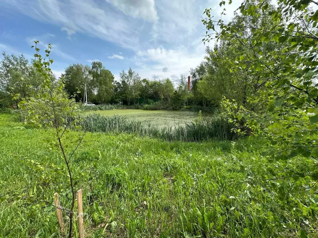 Участок в Московская область, Пушкинский городской округ, д. Данилово  ... - Фото 0