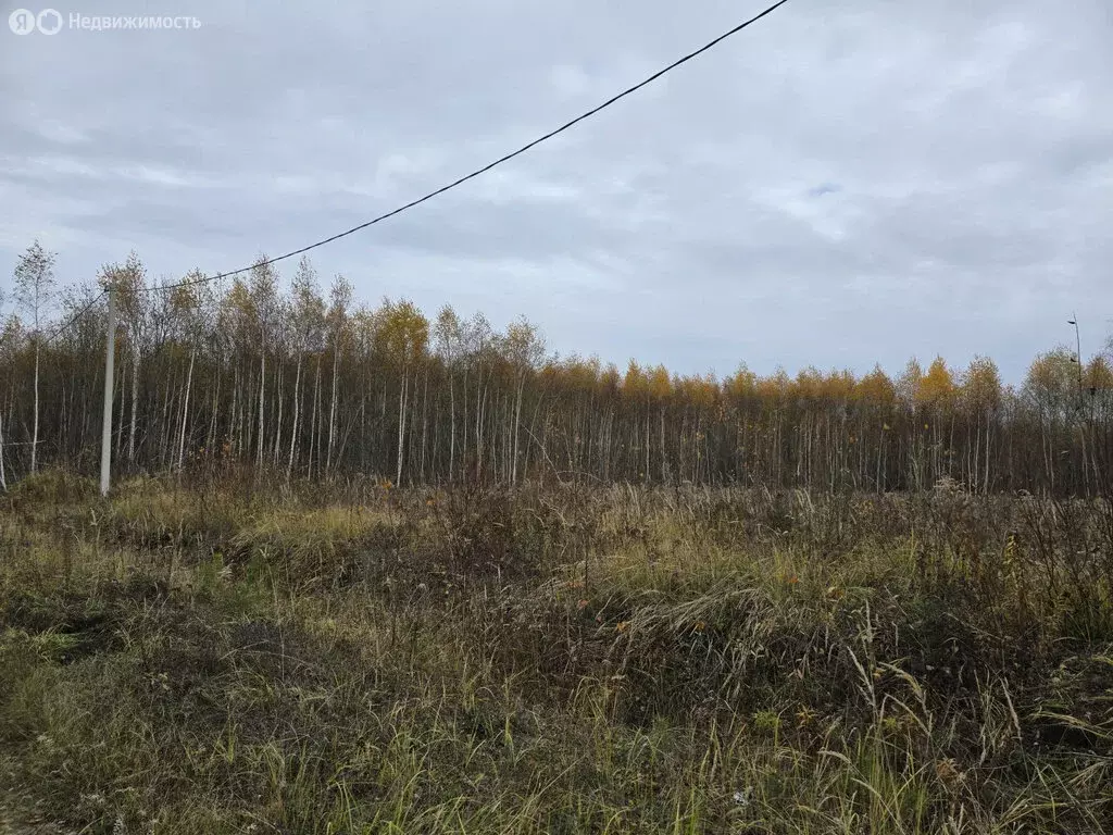 Участок в Заокский район, сельское поселение Страховское, коттеджный ... - Фото 1
