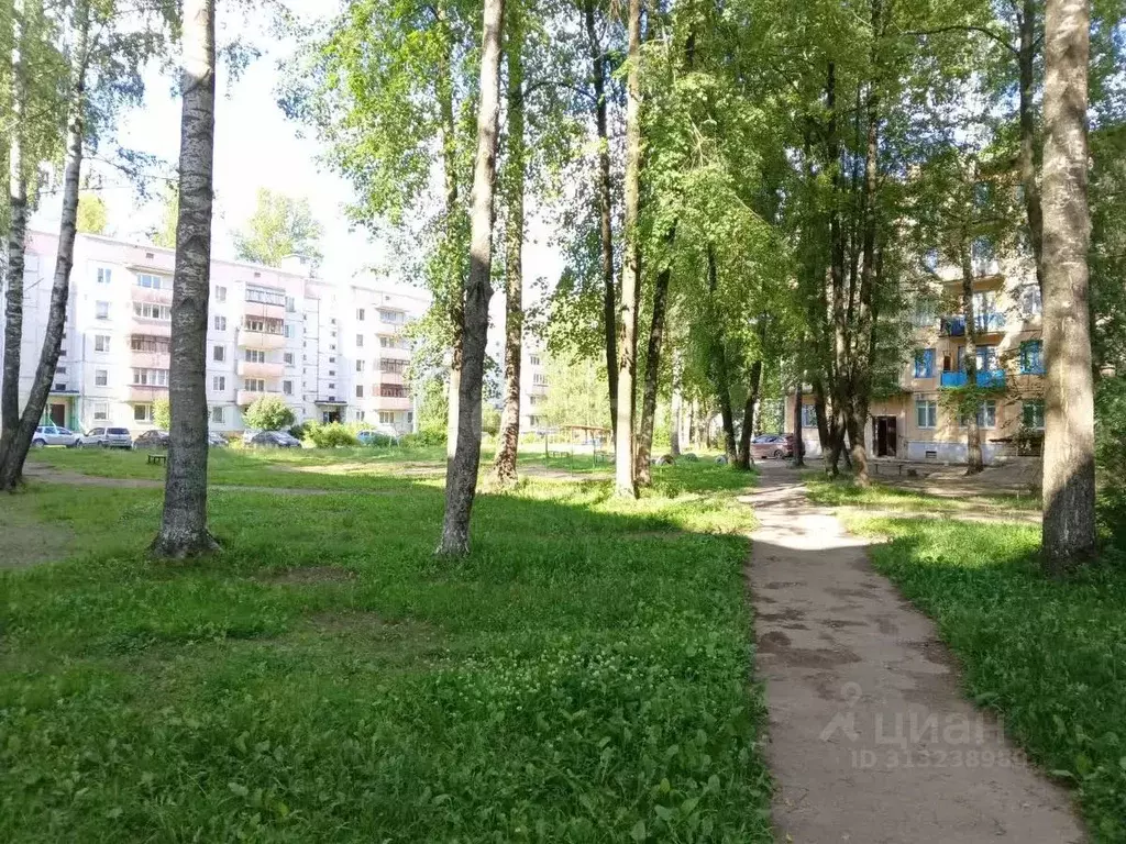 2-к кв. Псковская область, Остров ул. ДОС, 9 (43.7 м) - Фото 0